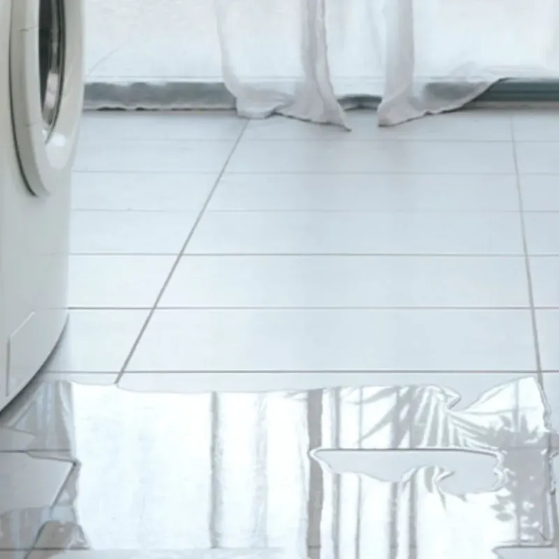 Appliance Leak Cleanup in Springfield, GA