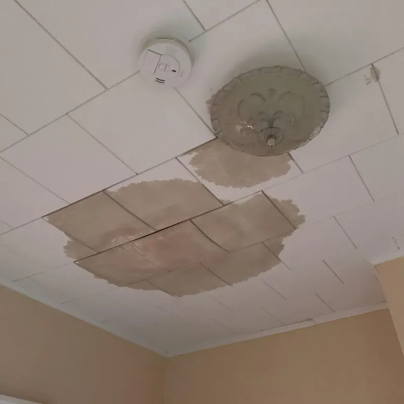 Ceiling Water Damage Repair in Springfield, GA