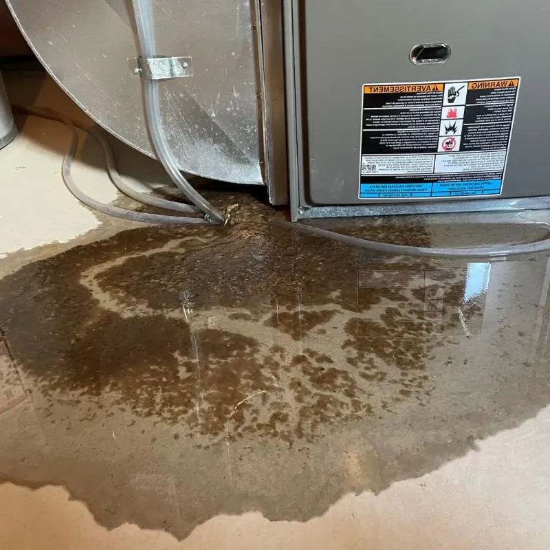 Pipe Burst and Leak Restoration in Springfield, GA