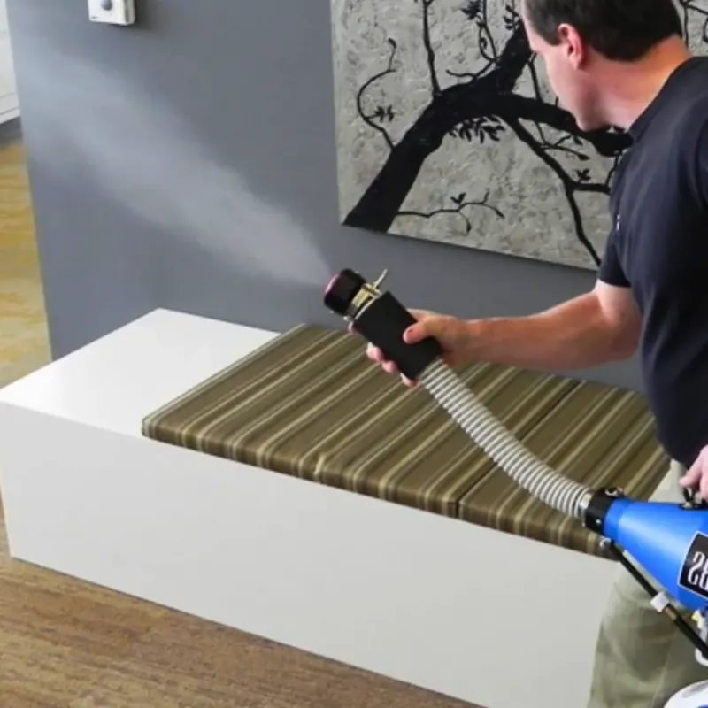 Professional Odor Removal in Springfield, GA