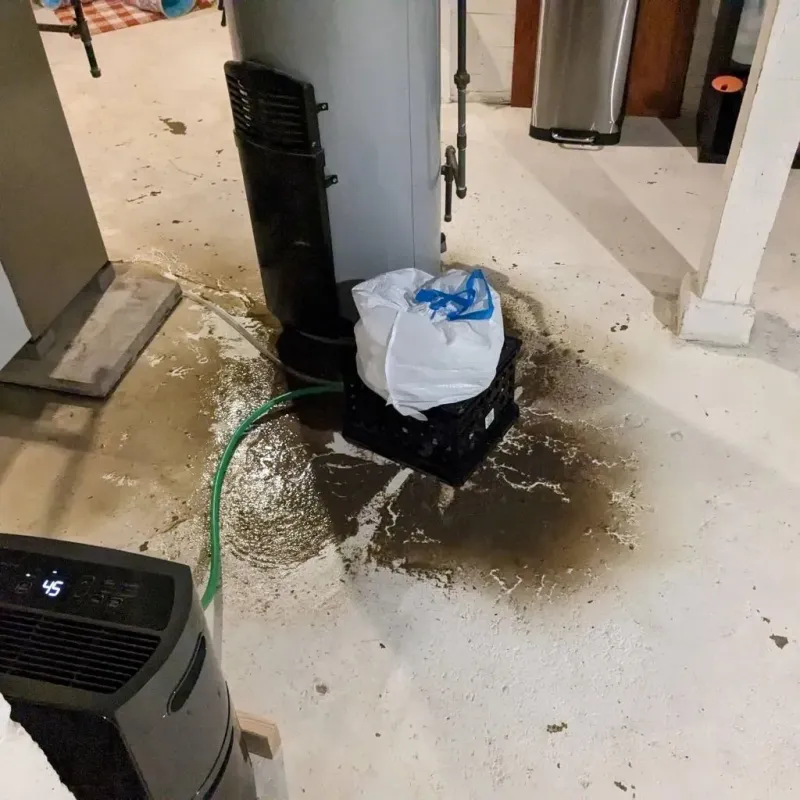 Sewage Backup Cleanup Service in Springfield, GA